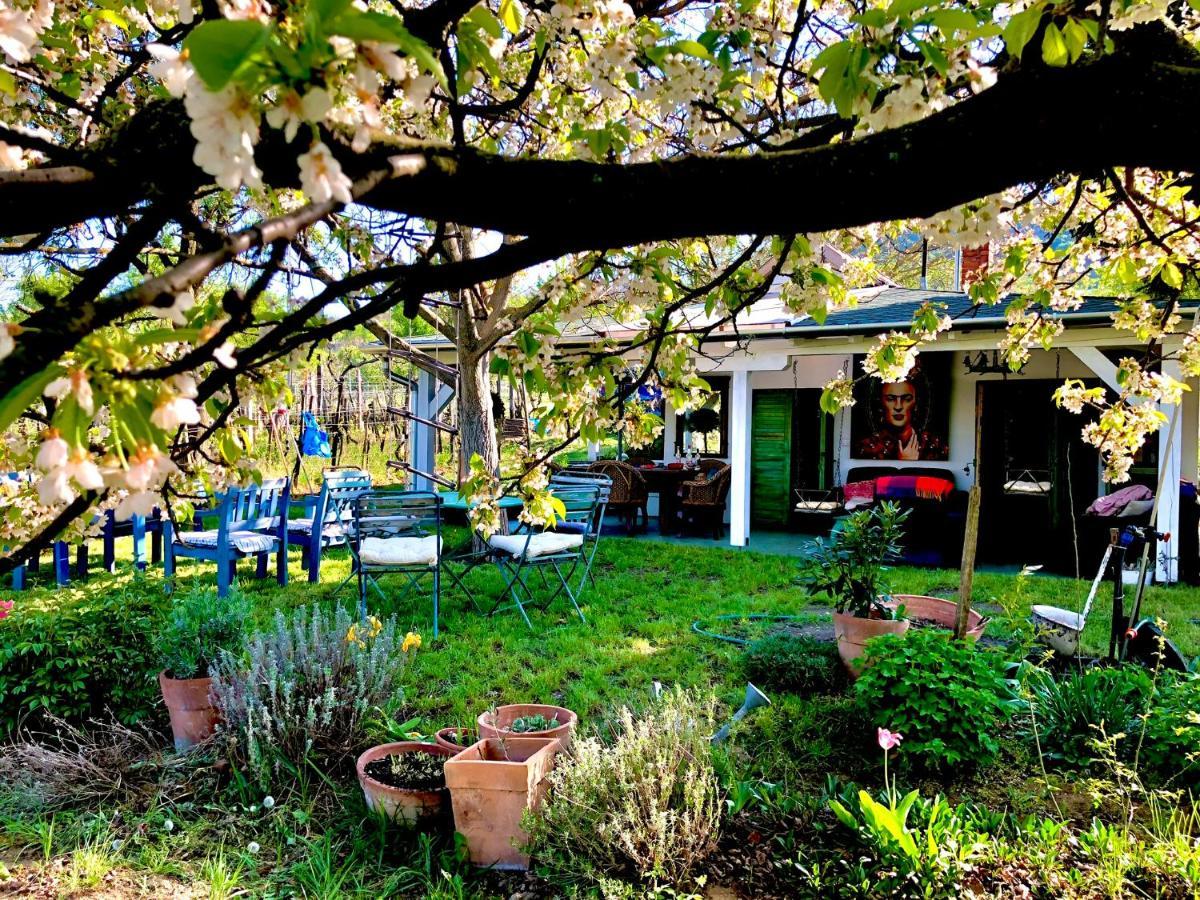 Bohemian Eco Lodge At Lake Balaton Kisapati Exterior foto