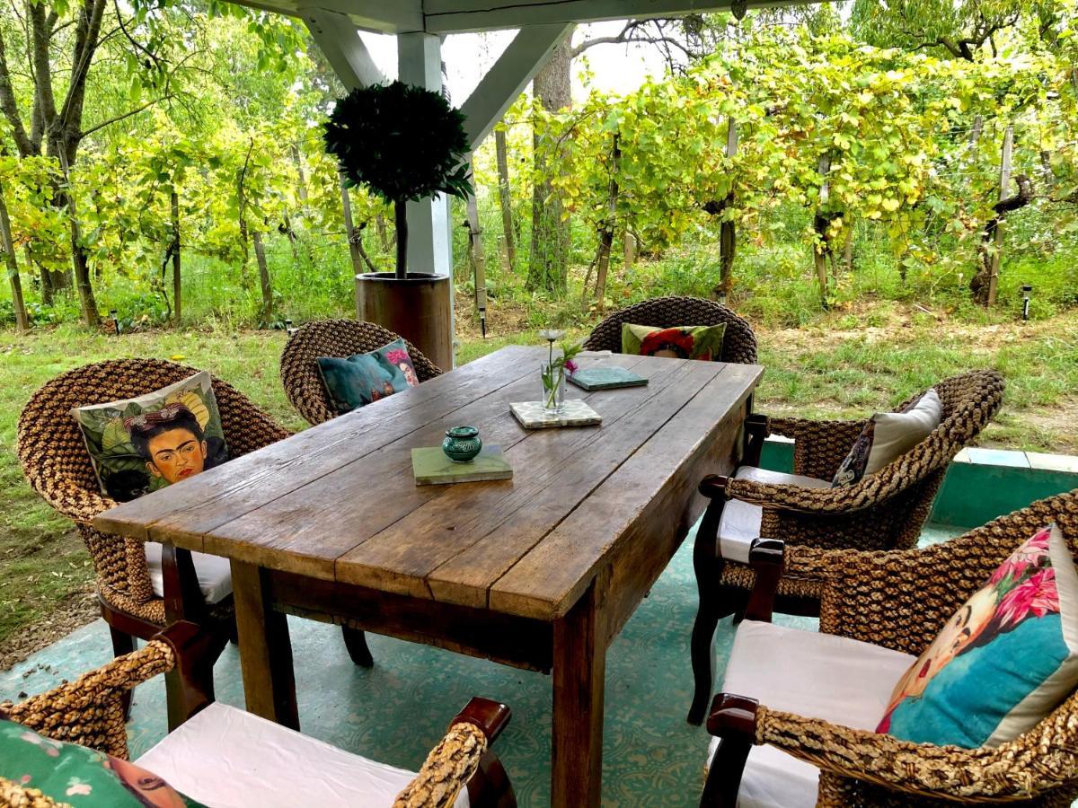 Bohemian Eco Lodge At Lake Balaton Kisapati Exterior foto